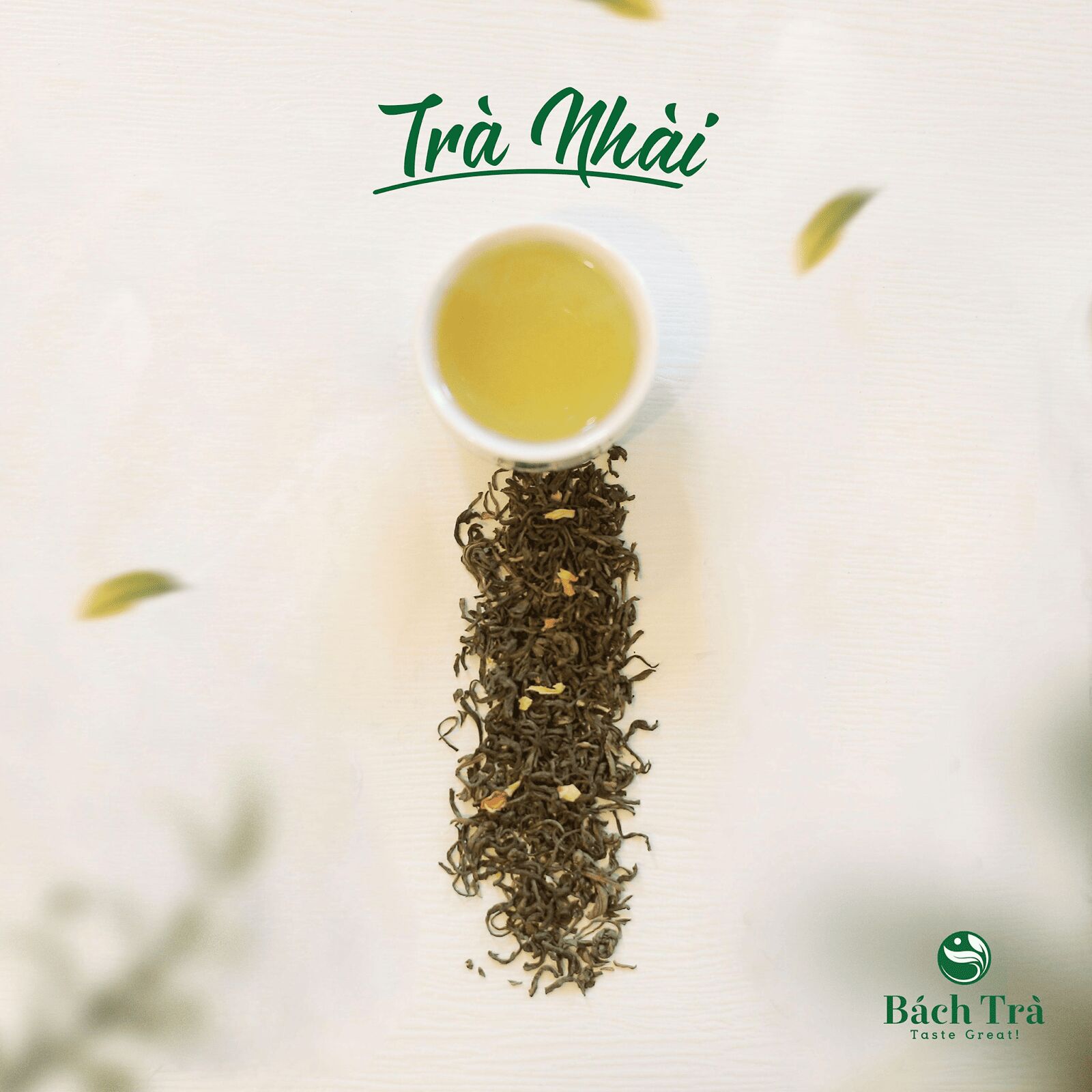 (Nhài Trà có hương thơm nồng nàn, vị chát nhẹ)