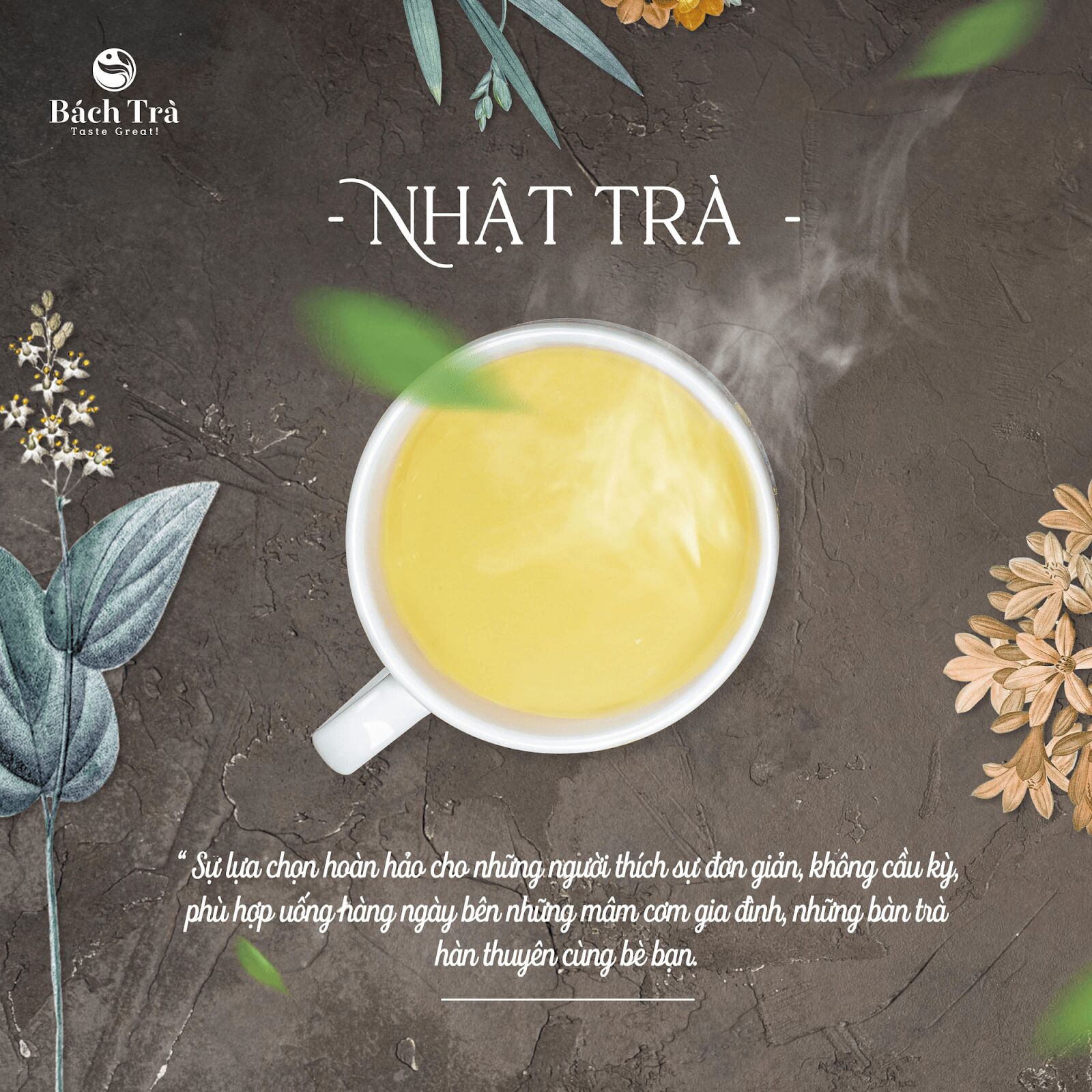 (Nhật Trà thích hợp với những người đơn giản, thích sự nhẹ nhàng)