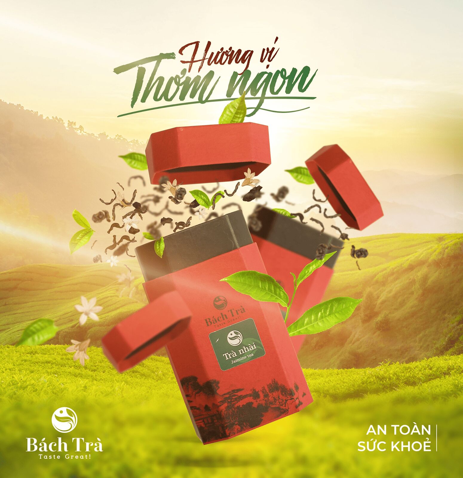 (Bách Trà là thương hiệu uy tín được đông đảo người sành trà tin dùng)