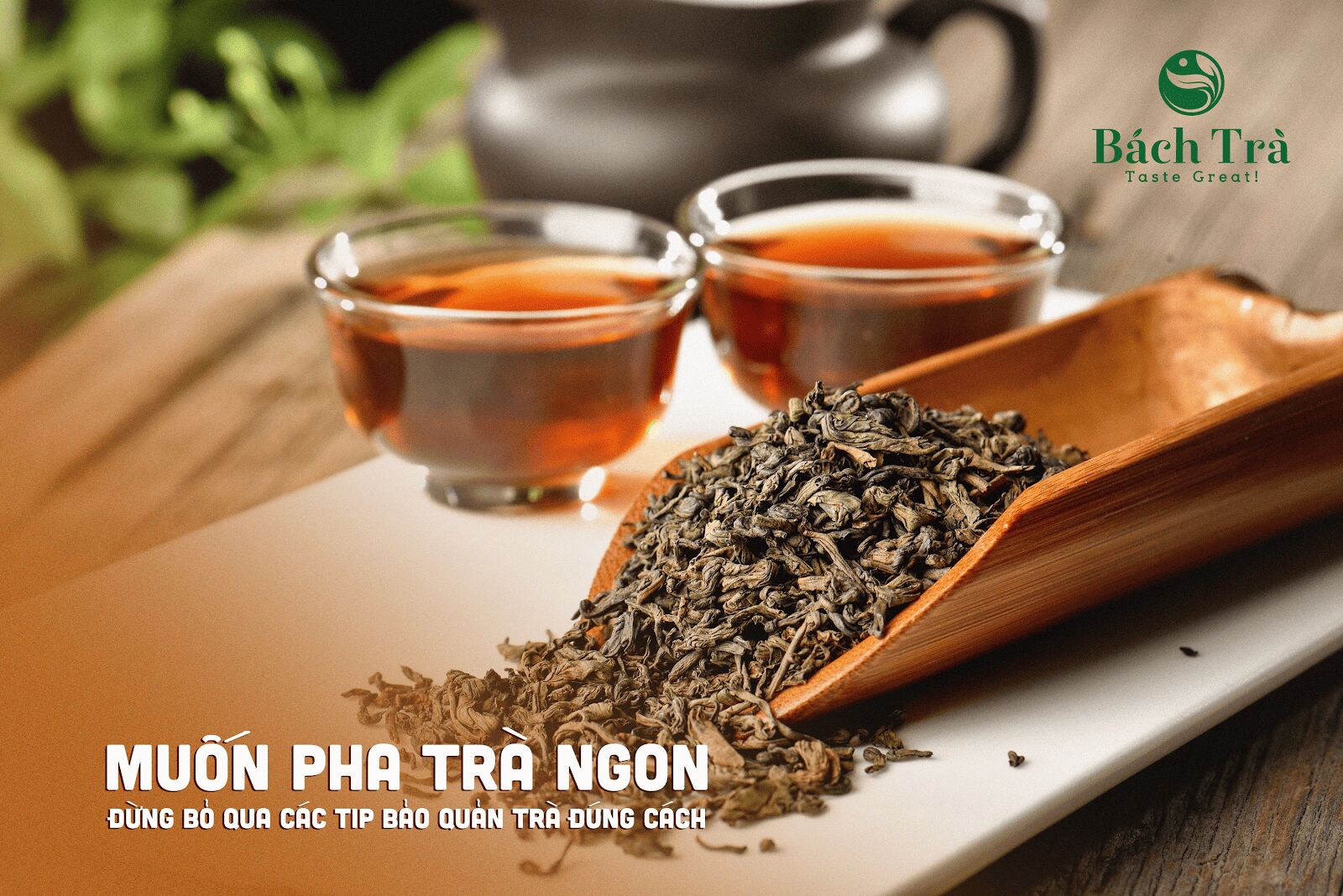 (Bảo quản trà đúng cách giúp trà thơm ngon, bền vị)