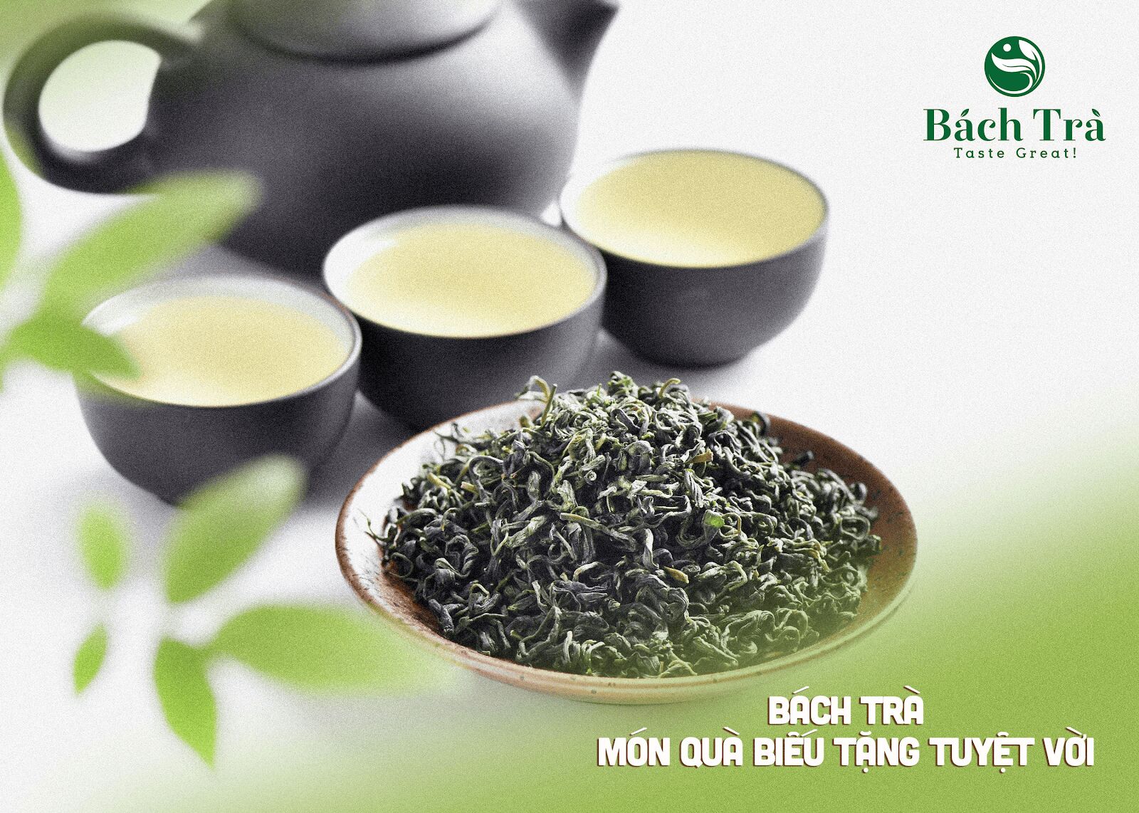 (Trà là món quà biếu tặng vô cùng tinh tế, lịch thiệp)