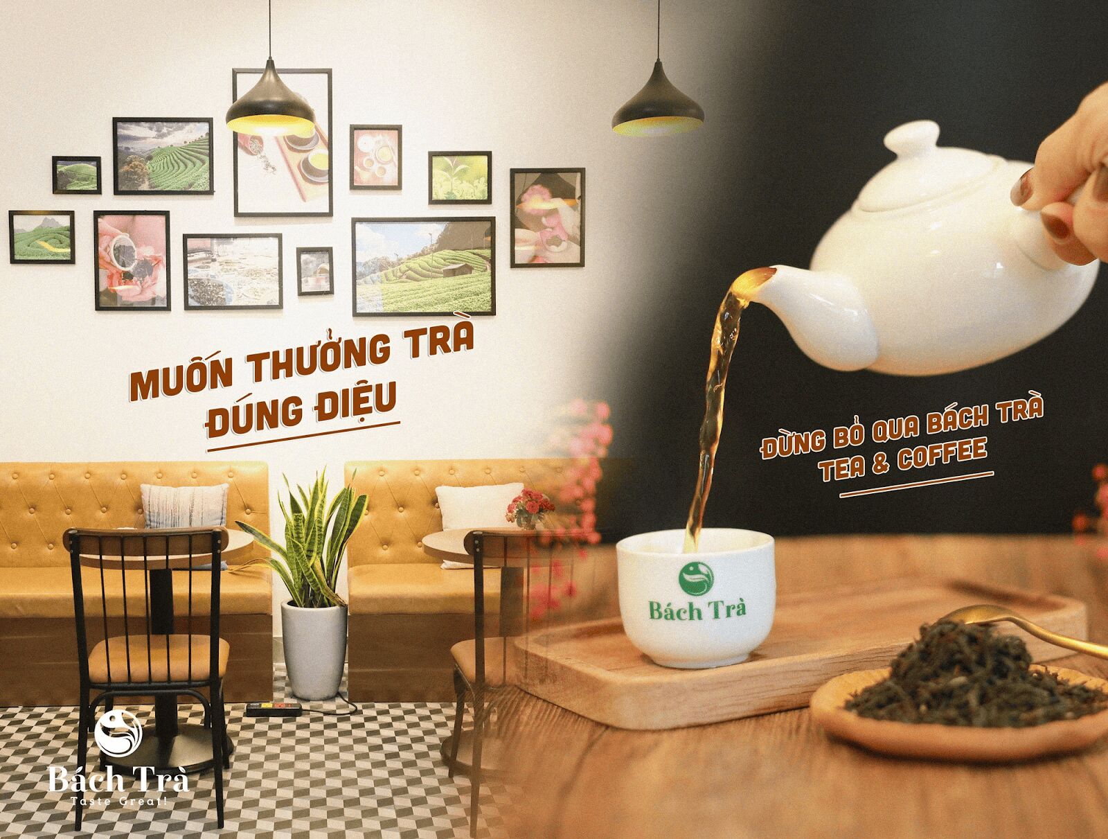 (Đến với Bách Trà, bạn sẽ được thưởng thức hương vị trà ngon chuẩn vị)